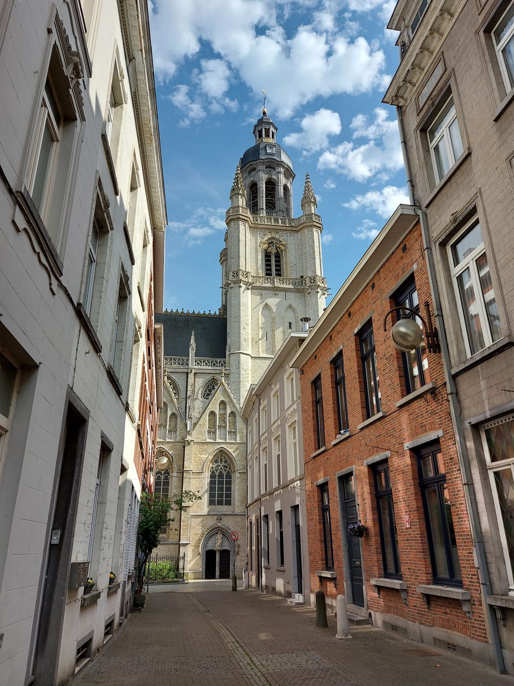 Zicht op de Sint-Martinusbasiliek in Halle